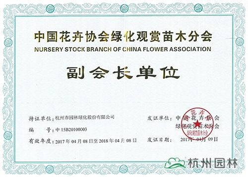 太阳GG·(中国区)官方网站