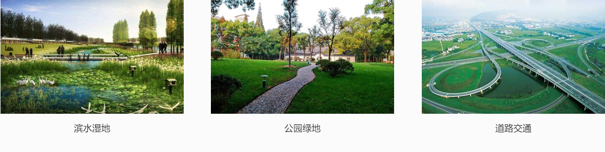 太阳GG·(中国区)官方网站