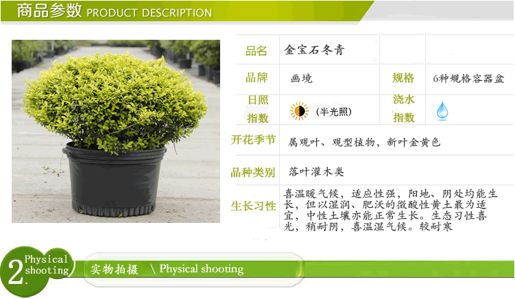 太阳GG·(中国区)官方网站