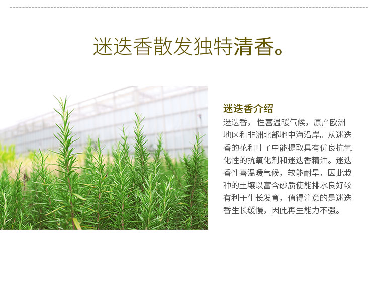 太阳GG·(中国区)官方网站