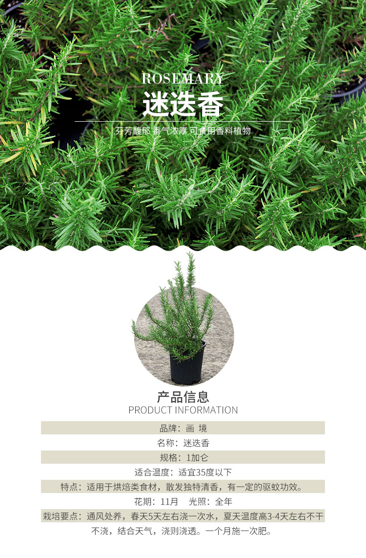 太阳GG·(中国区)官方网站