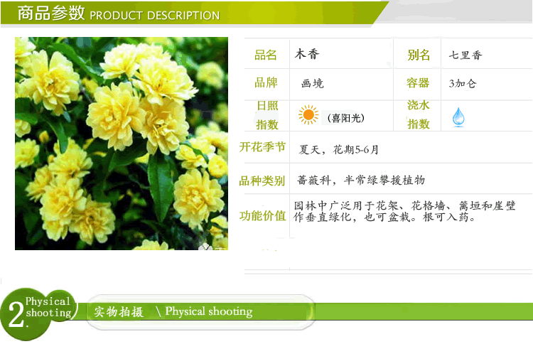 太阳GG·(中国区)官方网站