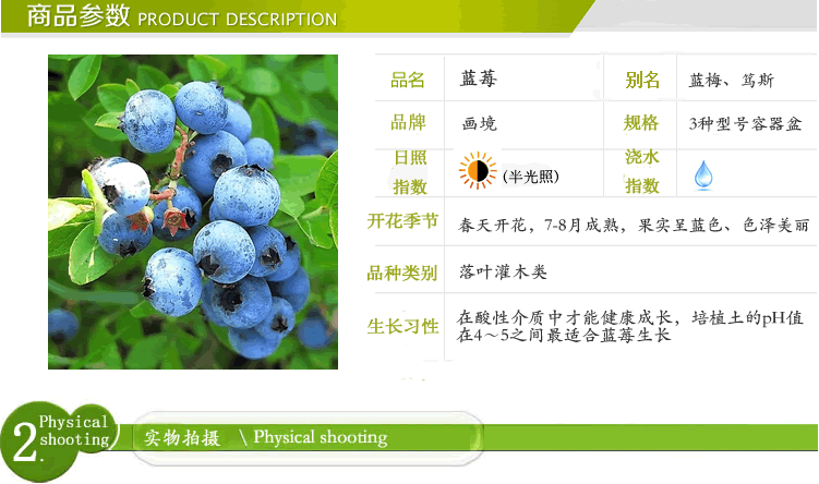 太阳GG·(中国区)官方网站