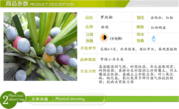 太阳GG·(中国区)官方网站