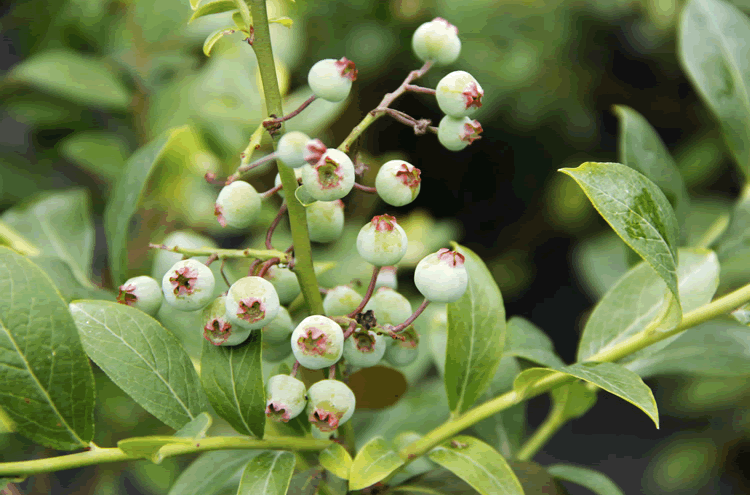 太阳GG·(中国区)官方网站