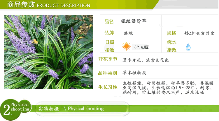 太阳GG·(中国区)官方网站