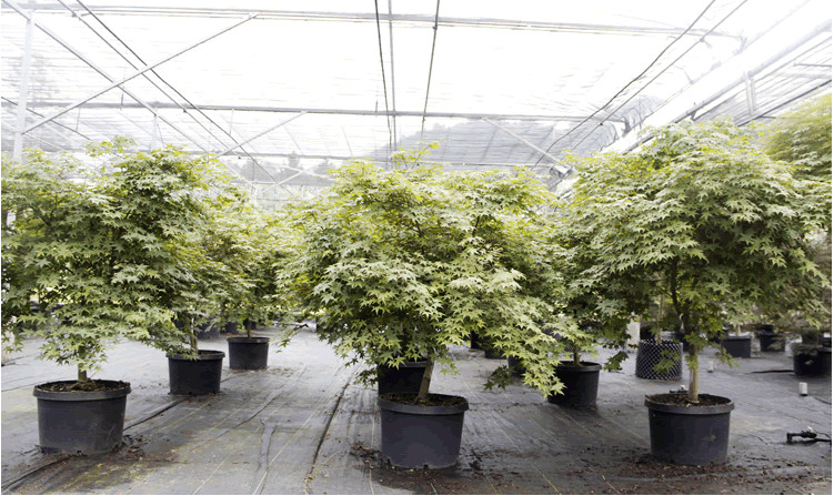 太阳GG·(中国区)官方网站