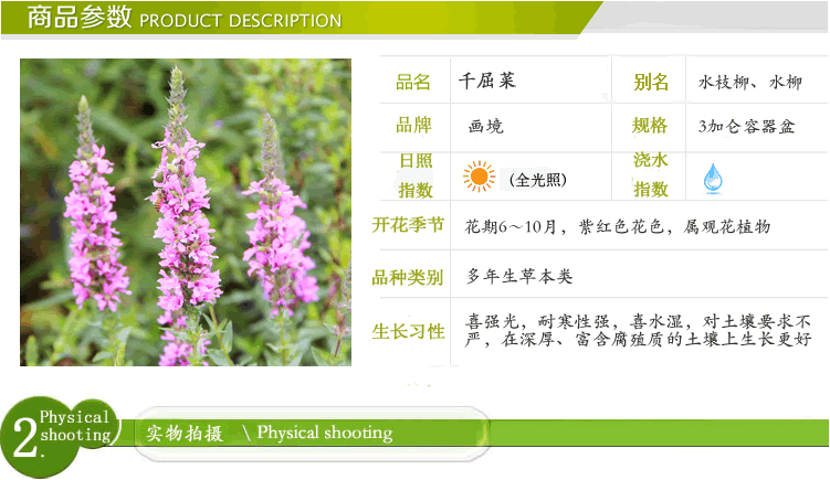太阳GG·(中国区)官方网站