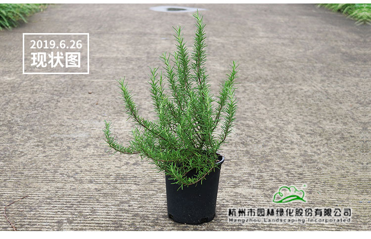太阳GG·(中国区)官方网站