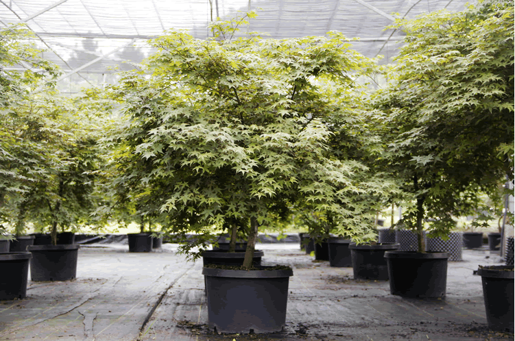 太阳GG·(中国区)官方网站