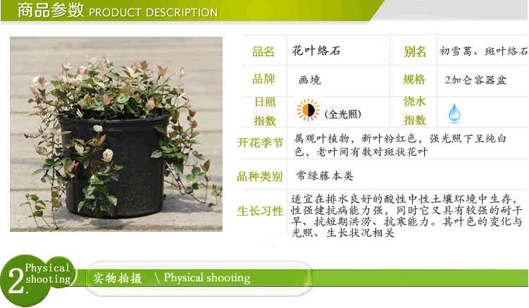 太阳GG·(中国区)官方网站