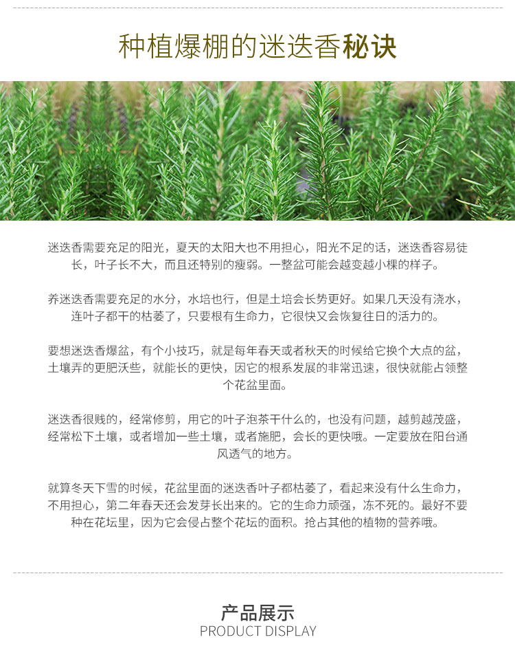 太阳GG·(中国区)官方网站