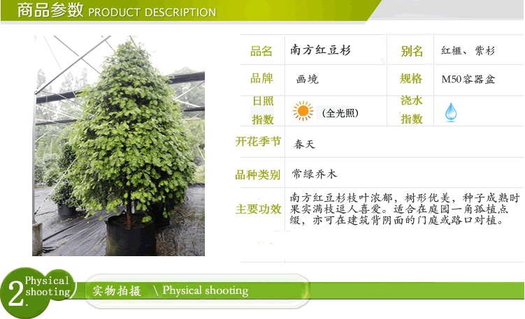 太阳GG·(中国区)官方网站