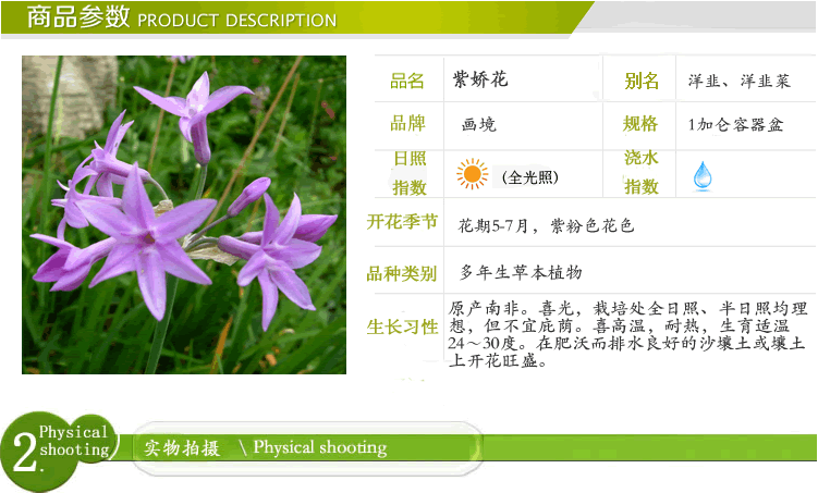 太阳GG·(中国区)官方网站