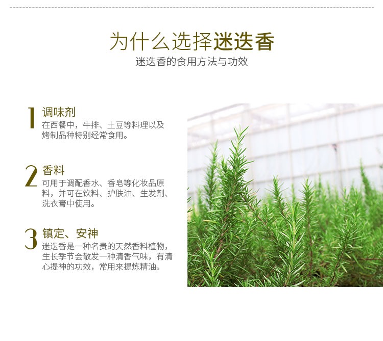 太阳GG·(中国区)官方网站