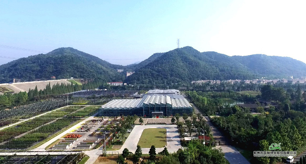 太阳GG·(中国区)官方网站