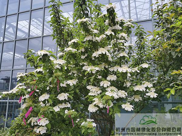 太阳GG·(中国区)官方网站