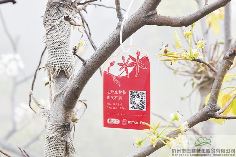 太阳GG·(中国区)官方网站