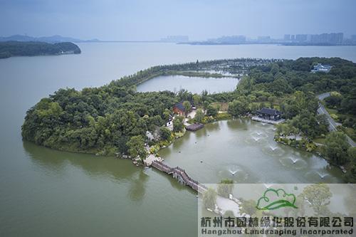 太阳GG·(中国区)官方网站