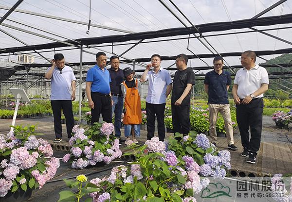 太阳GG·(中国区)官方网站