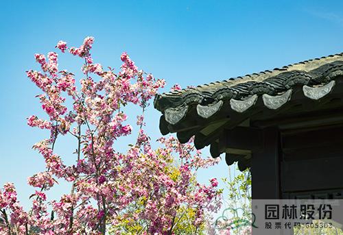 太阳GG·(中国区)官方网站
