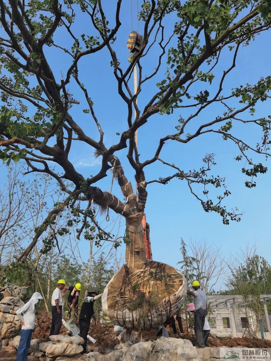 太阳GG·(中国区)官方网站