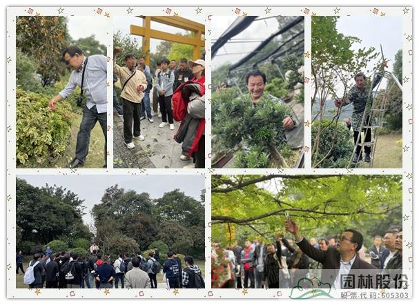 太阳GG·(中国区)官方网站