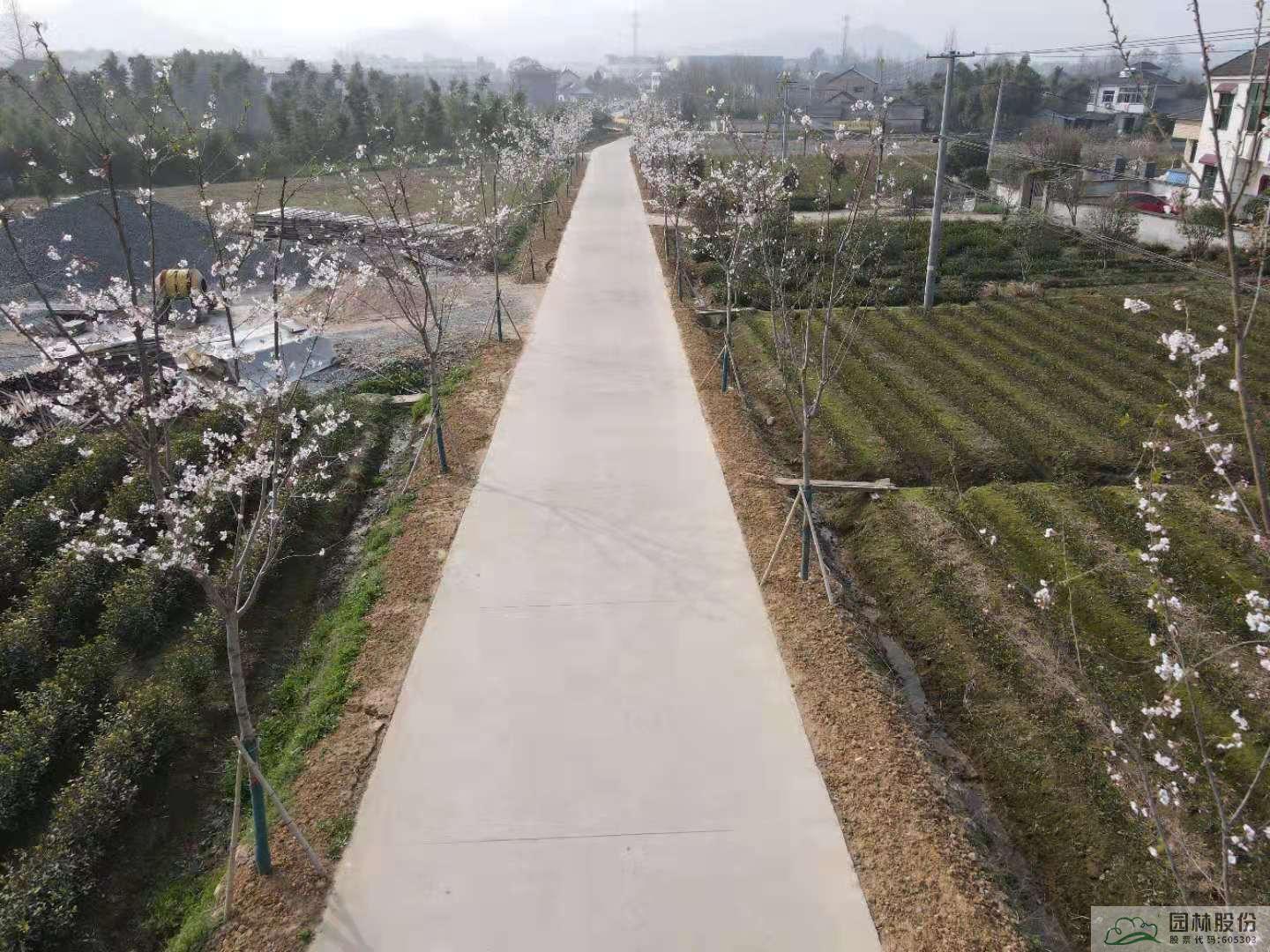 太阳GG·(中国区)官方网站