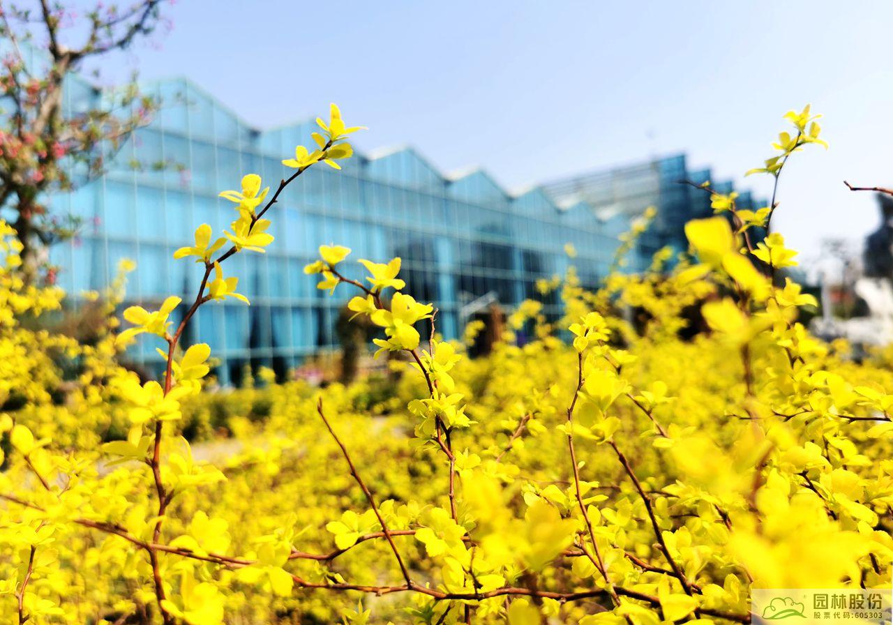 太阳GG·(中国区)官方网站