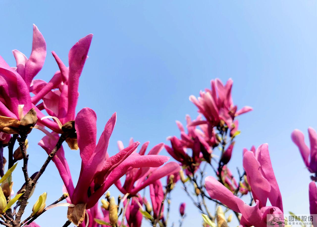 太阳GG·(中国区)官方网站