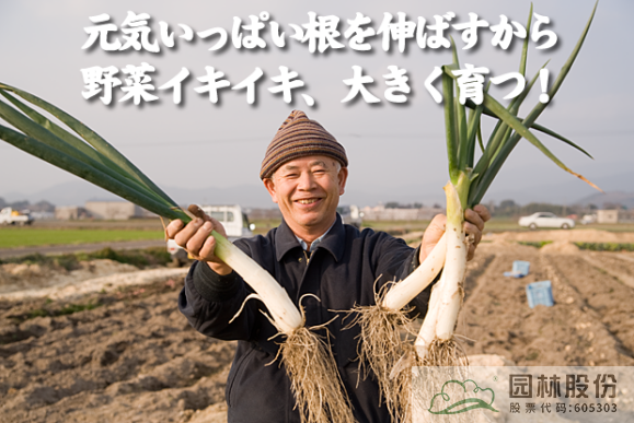 太阳GG·(中国区)官方网站