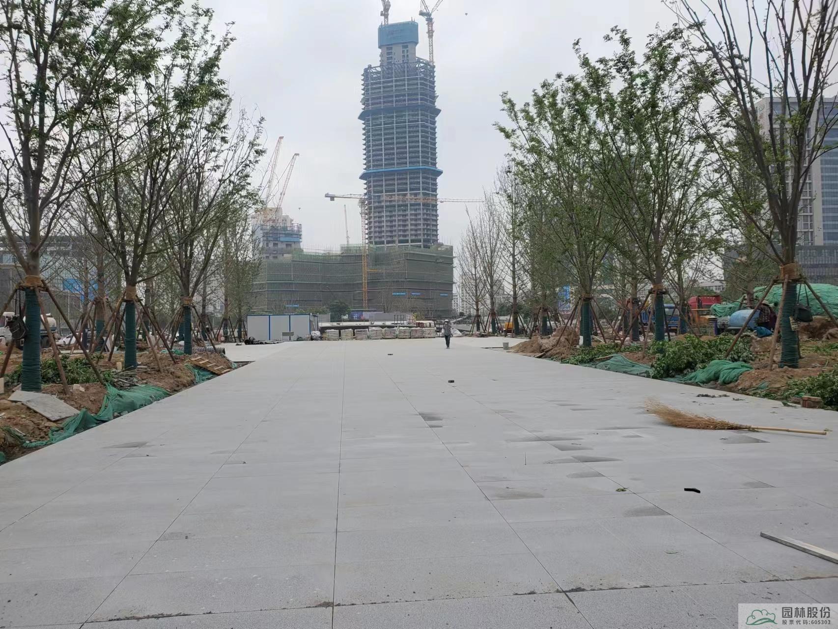 太阳GG·(中国区)官方网站