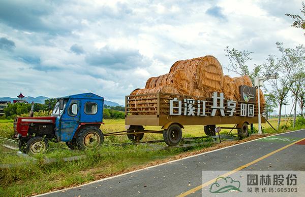 太阳GG·(中国区)官方网站