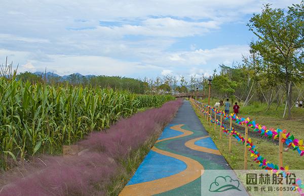 太阳GG·(中国区)官方网站