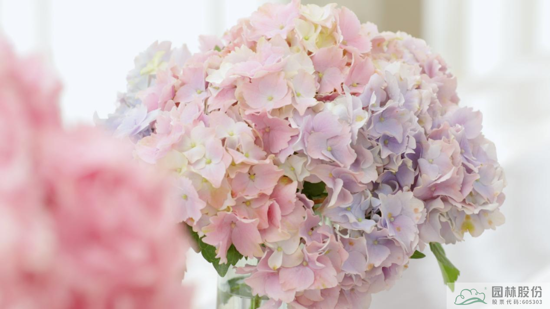 太阳GG·(中国区)官方网站