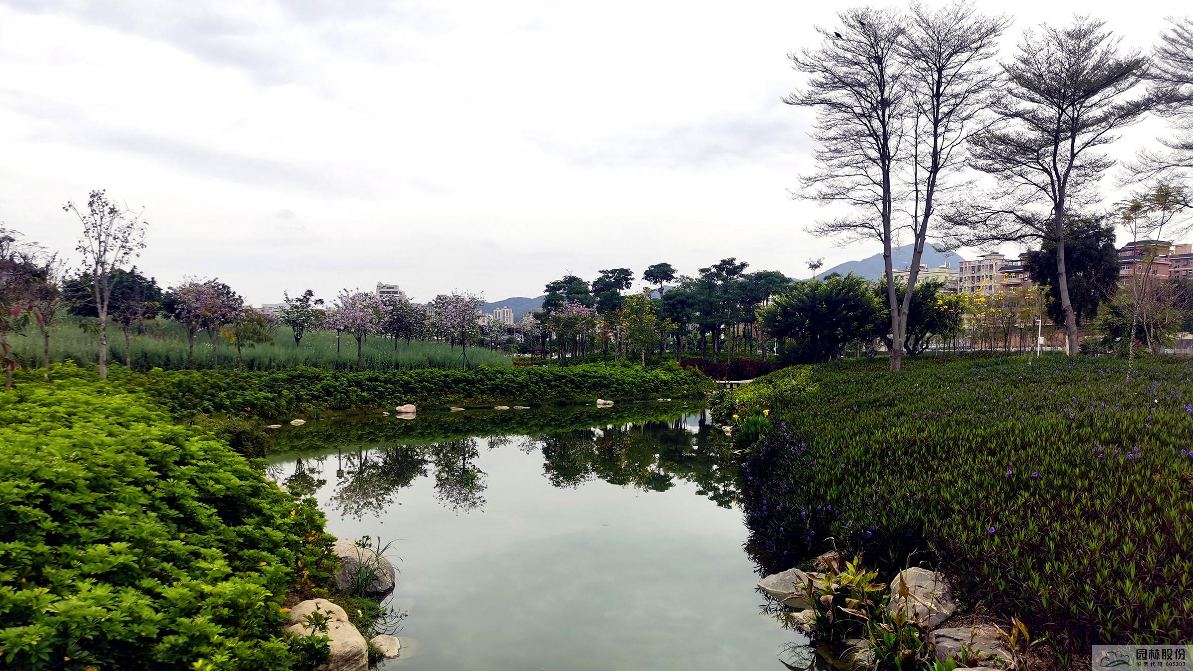 太阳GG·(中国区)官方网站