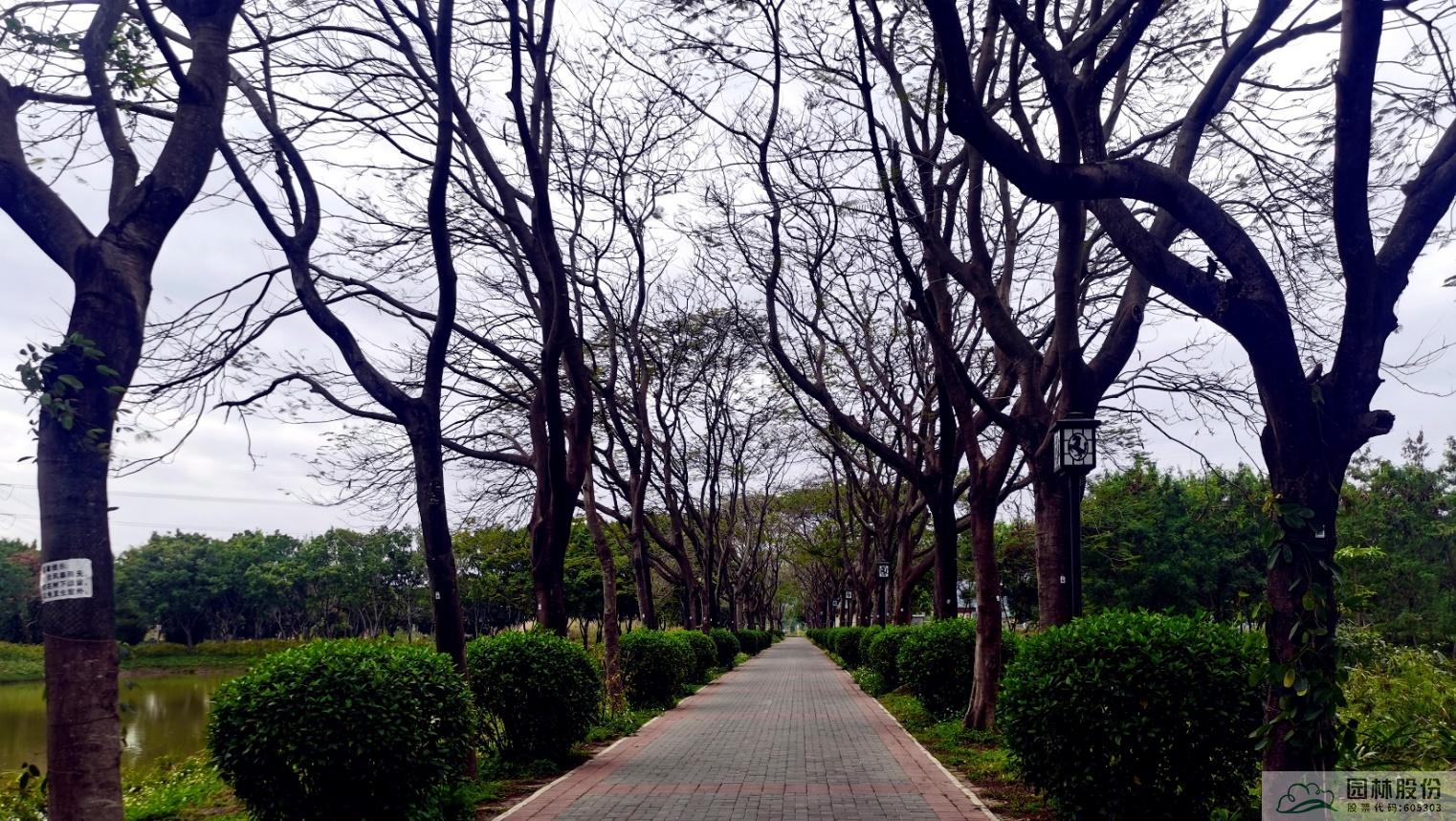 太阳GG·(中国区)官方网站