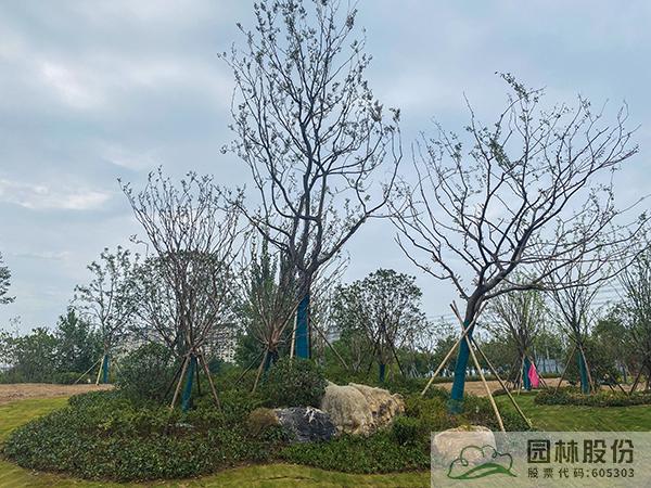 太阳GG·(中国区)官方网站