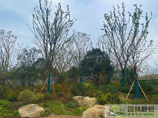 太阳GG·(中国区)官方网站