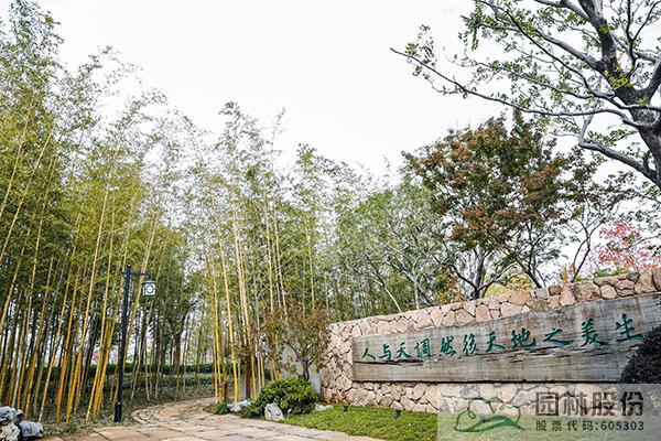 太阳GG·(中国区)官方网站