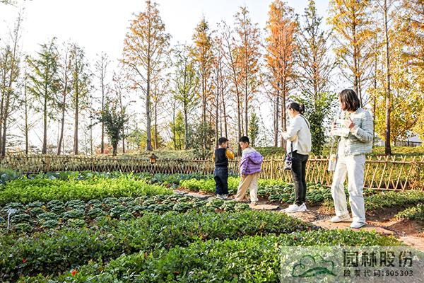 太阳GG·(中国区)官方网站