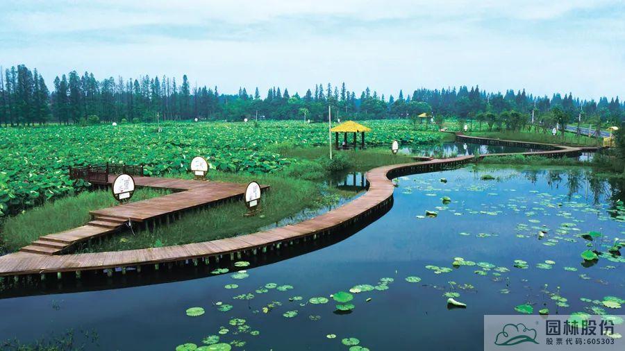 太阳GG·(中国区)官方网站