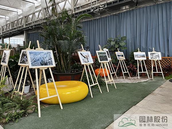 太阳GG·(中国区)官方网站