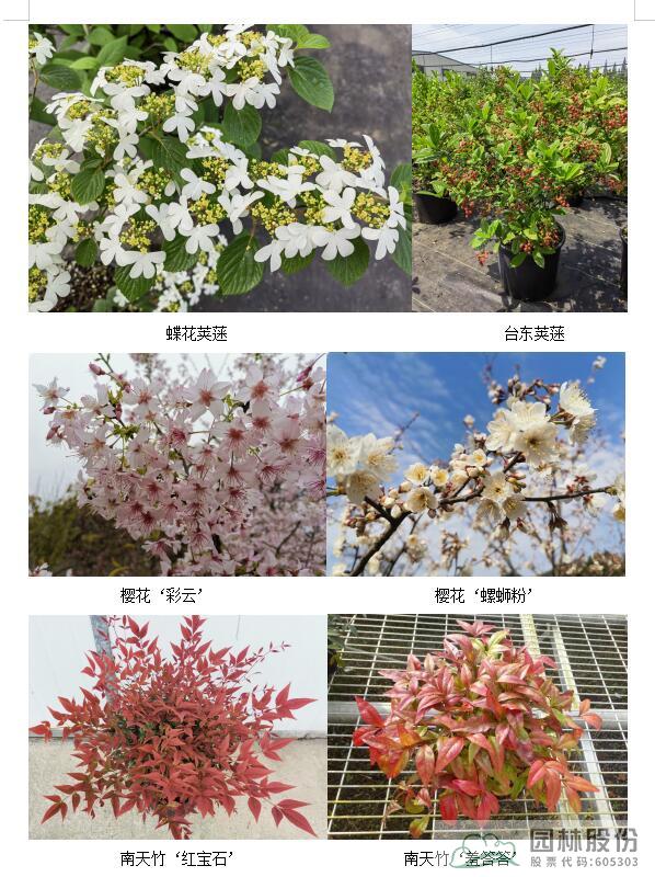 太阳GG·(中国区)官方网站