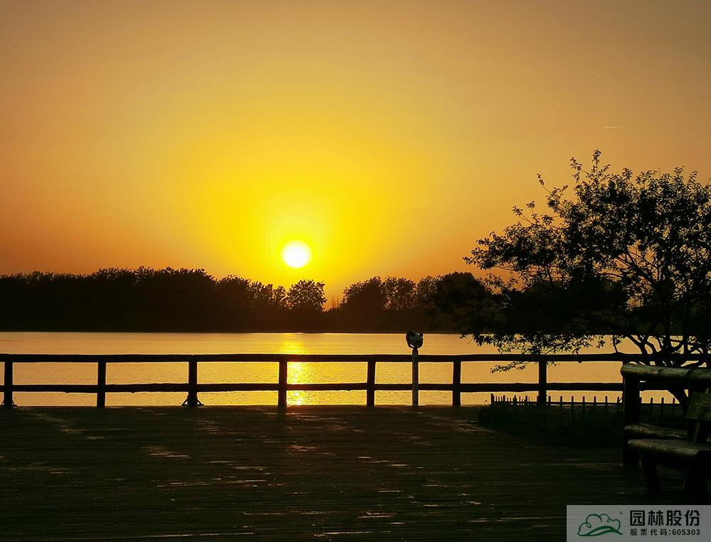 太阳GG·(中国区)官方网站