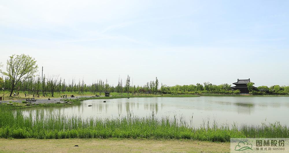 太阳GG·(中国区)官方网站