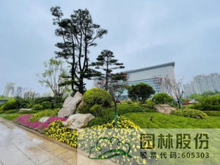 太阳GG·(中国区)官方网站