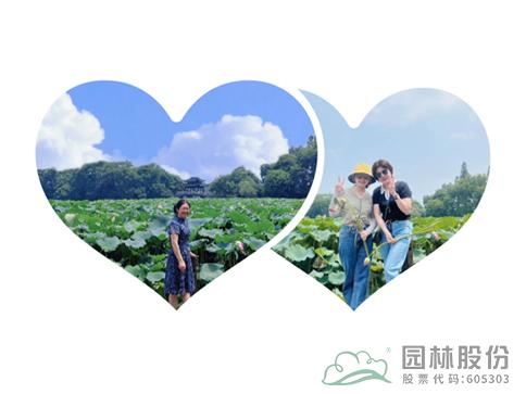 太阳GG·(中国区)官方网站
