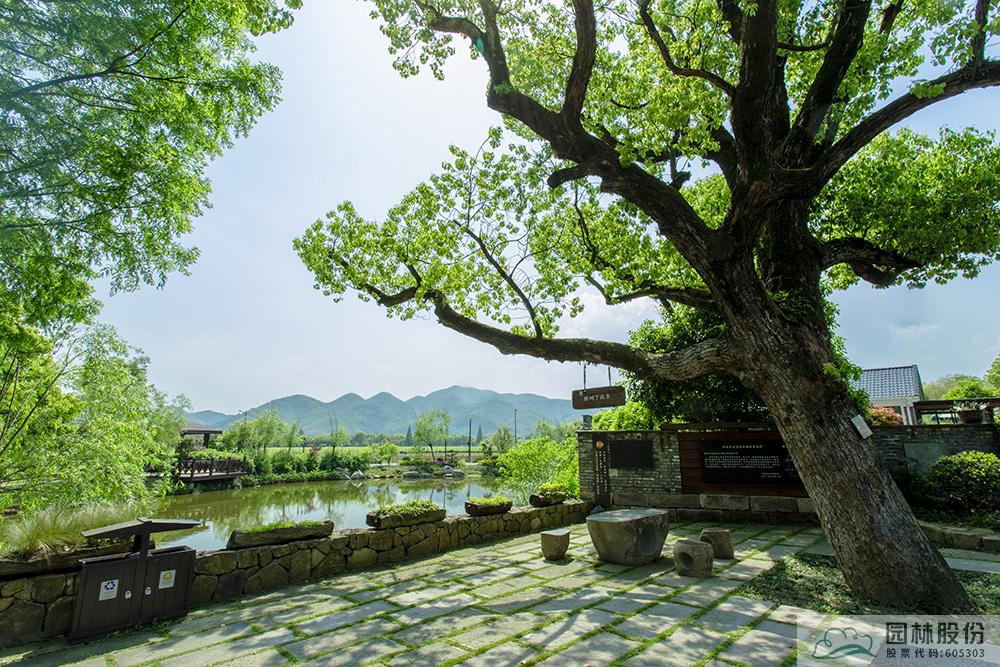 太阳GG·(中国区)官方网站