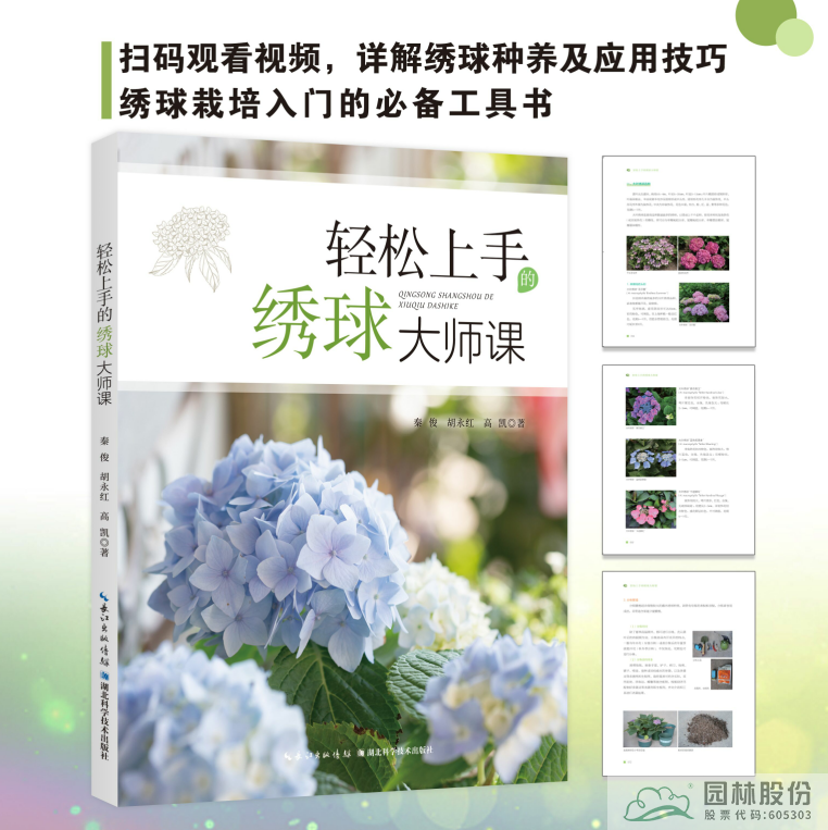 太阳GG·(中国区)官方网站
